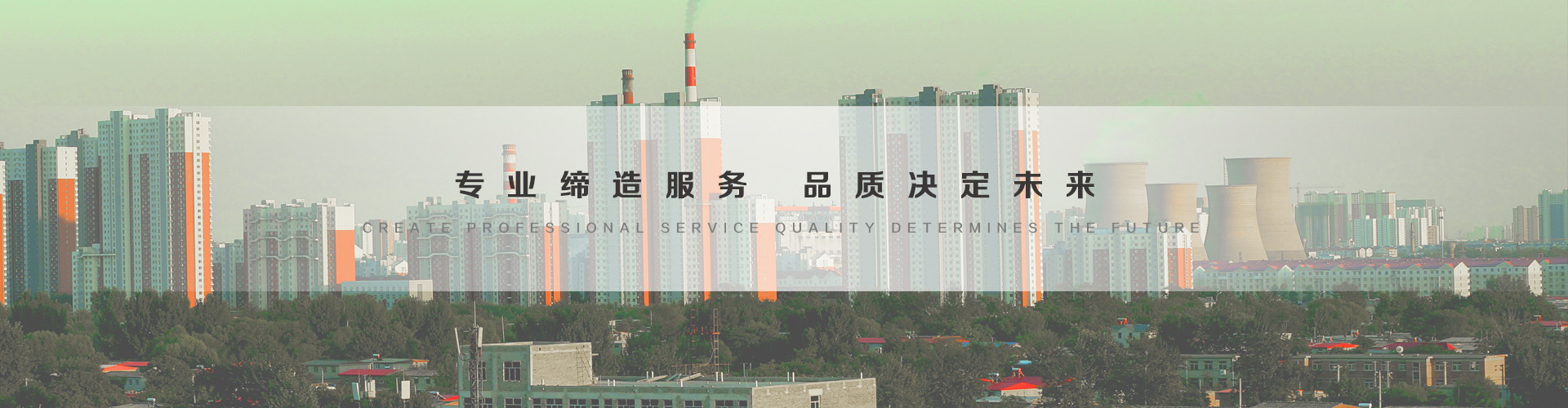 龙井3